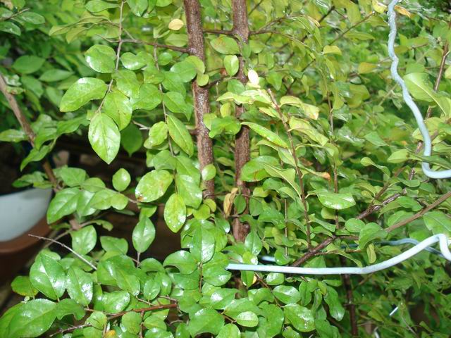 DSC01262.JPG