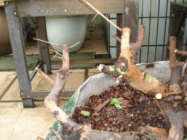 DSC01310.JPG