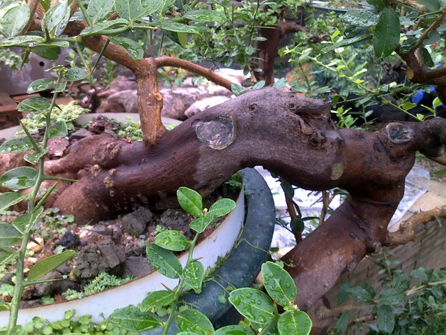 20120623598.jpg