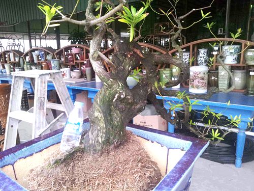 20130816_172700.jpg