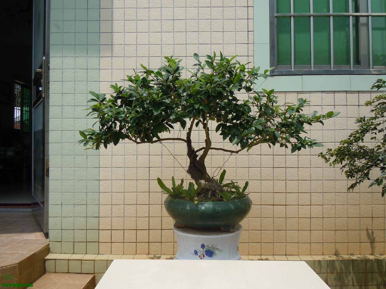 001.jpg