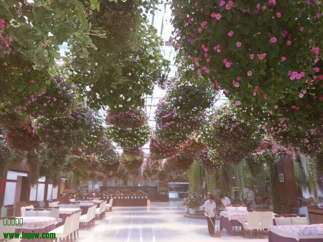 QQͼƬ20130809222136.jpg