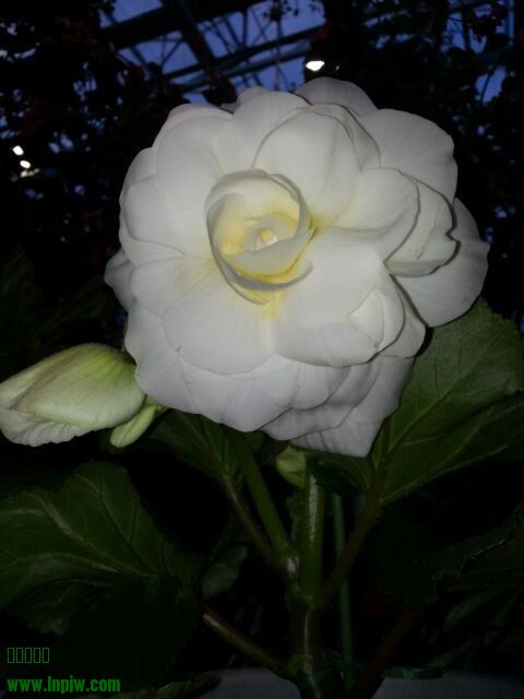QQͼƬ20130809222142.jpg