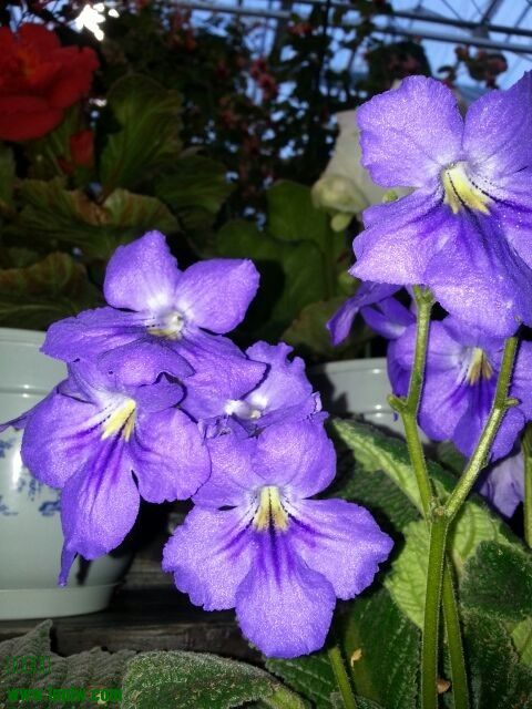 QQͼƬ20130809222149.jpg