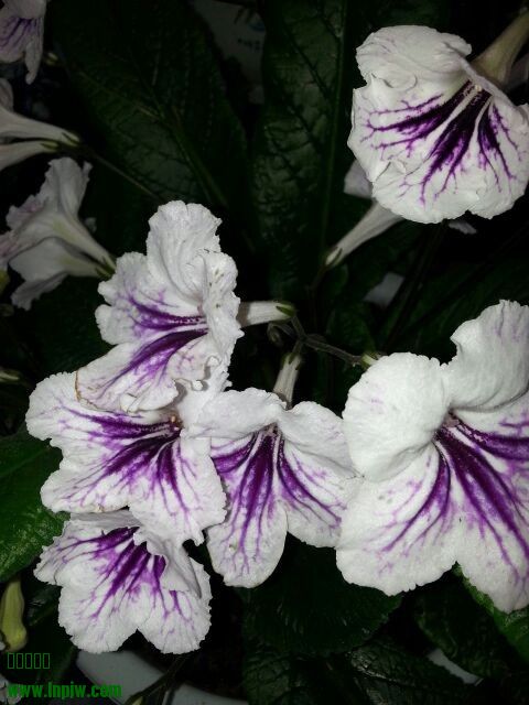 QQͼƬ20130809222214.jpg