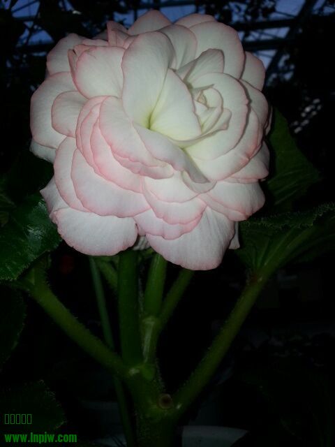 QQͼƬ20130809222227.jpg