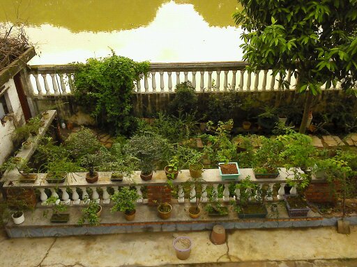 Ƭ 083.jpg