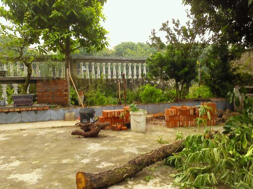 Ƭ 076.jpg