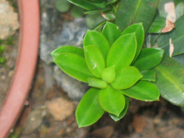 IMG_6293.JPG