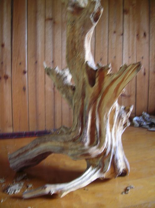 DSCN2389.JPG