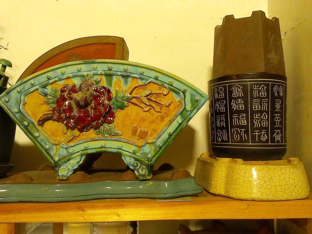 IMG_20130821_081445.jpg