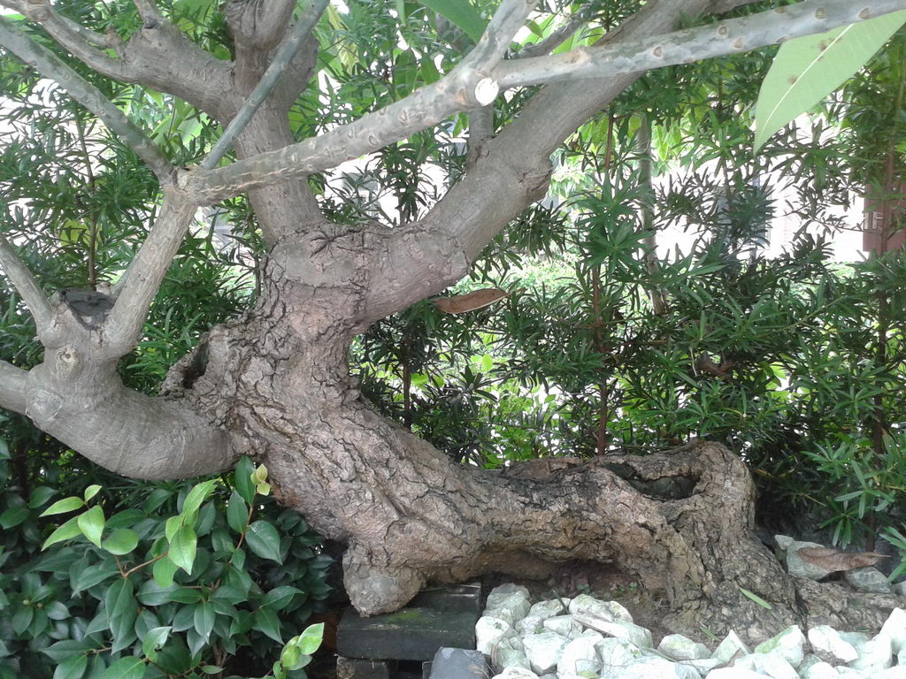 20130822_155724_С.jpg