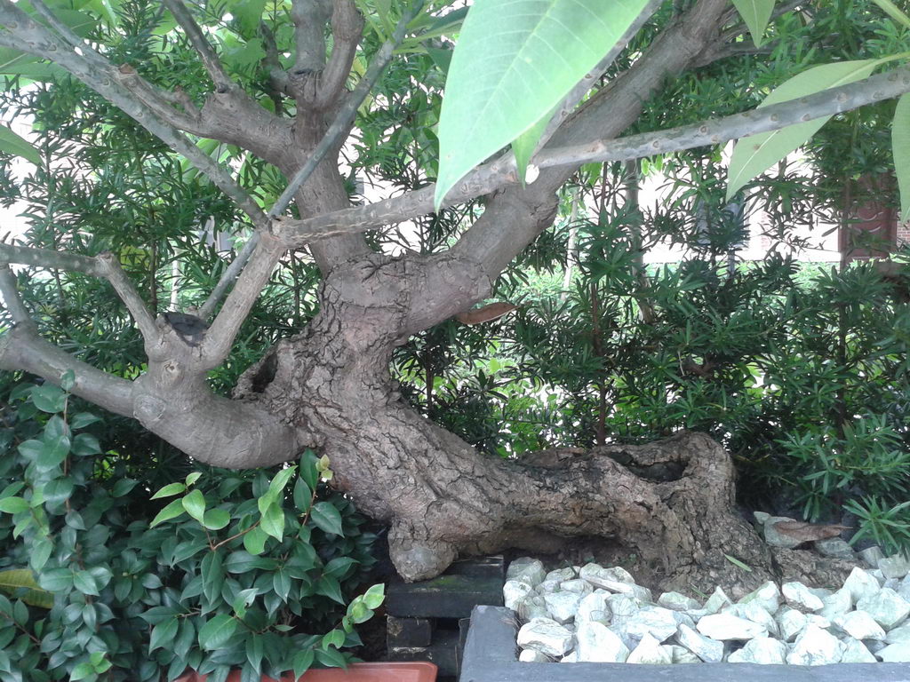 20130822_155745_С.jpg