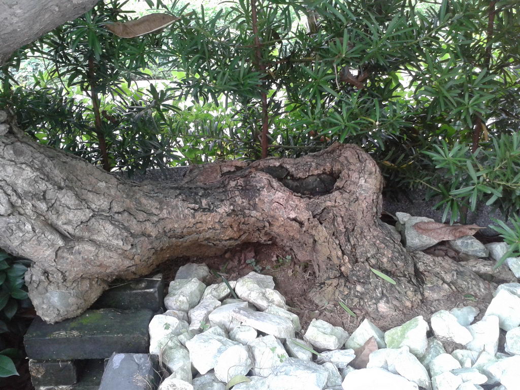20130822_155805_С.jpg
