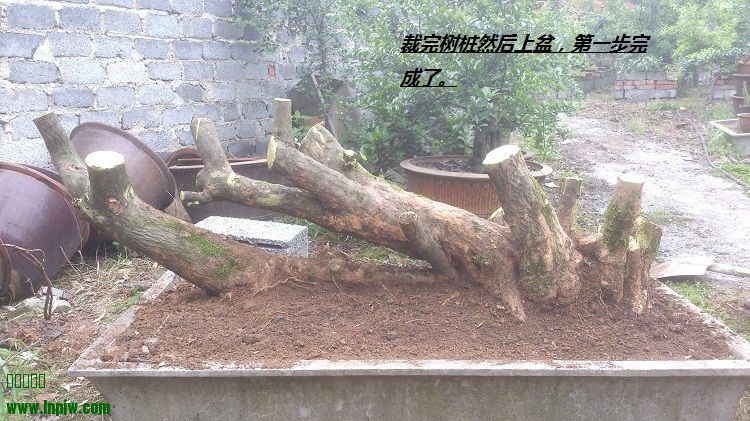 DSC_0867.jpg