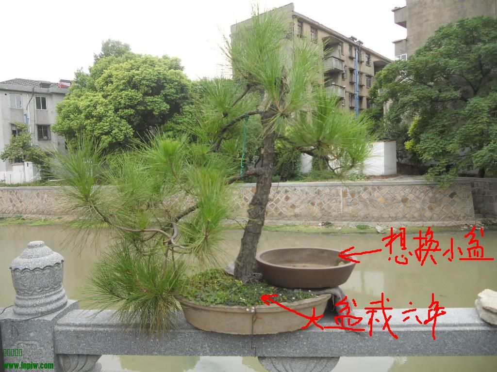DSCN4796.jpg