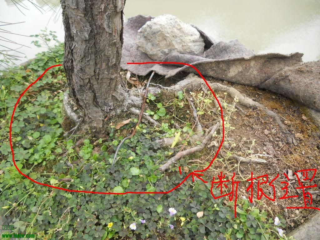 DSCN4798.jpg