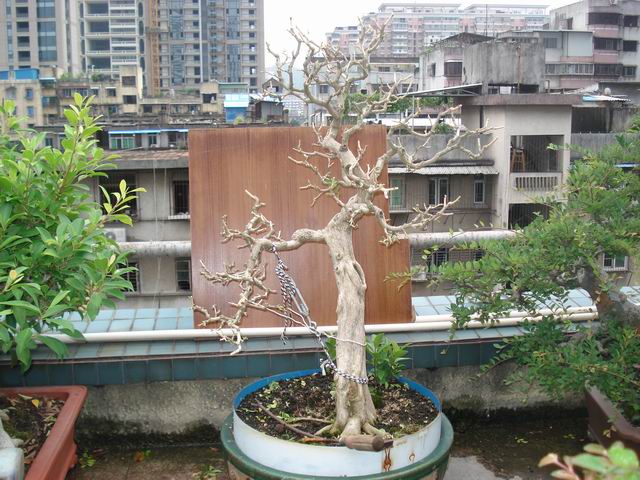 DSC01329.JPG