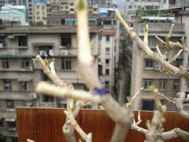 DSC01360.JPG