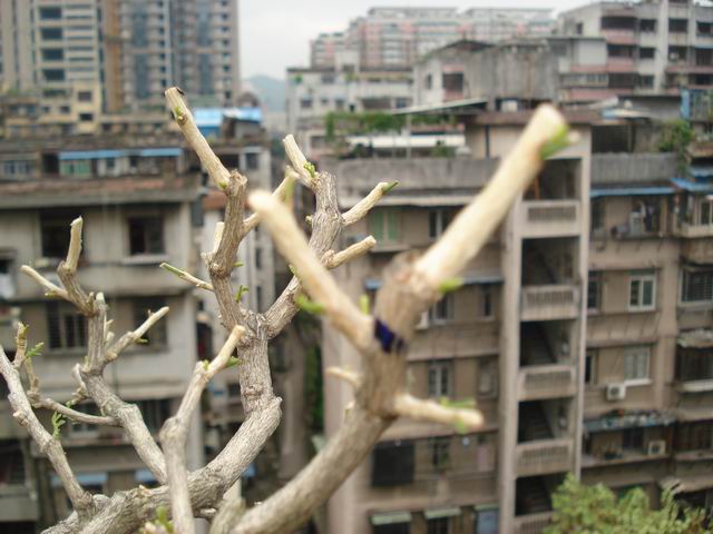 DSC01361.JPG