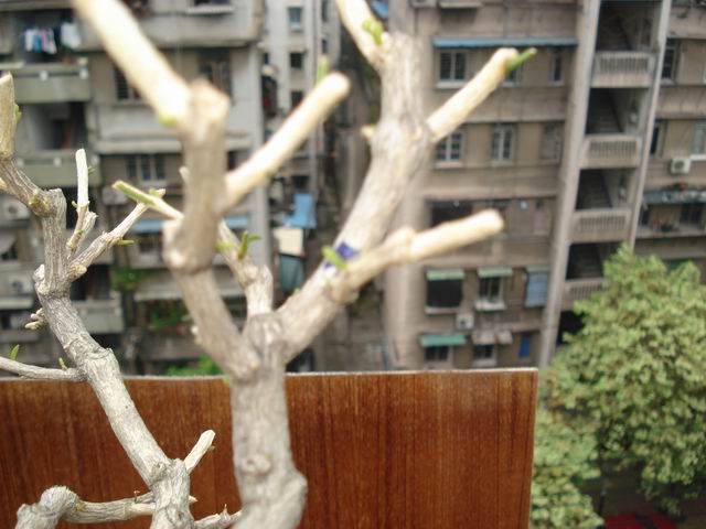DSC01362.JPG