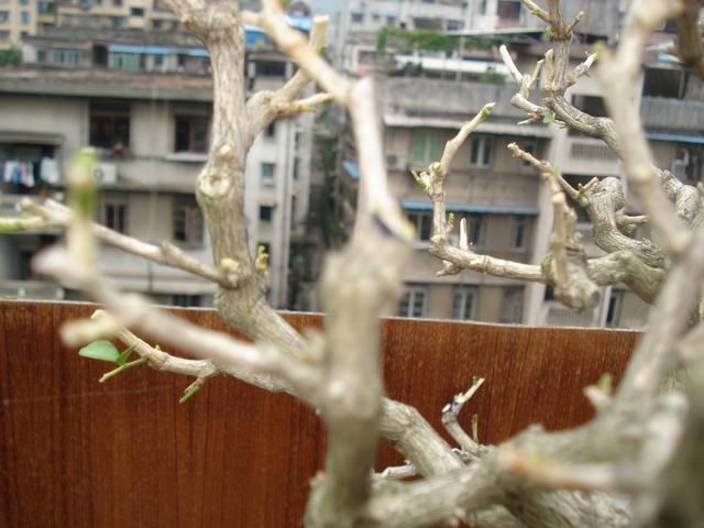 DSC01364.JPG