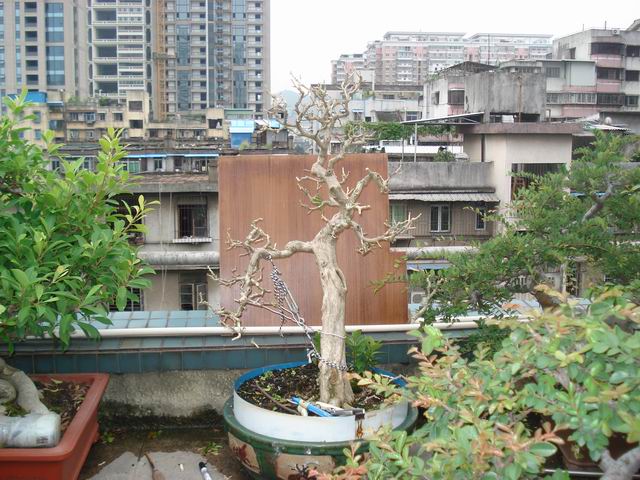 DSC01365.JPG
