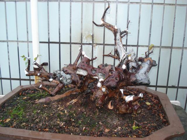 DSC01400.JPG