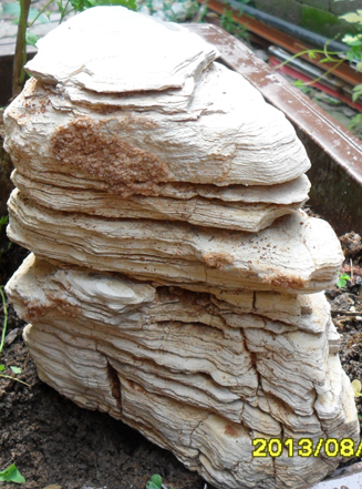 -ǧʯ֮17x17x15cm.jpg