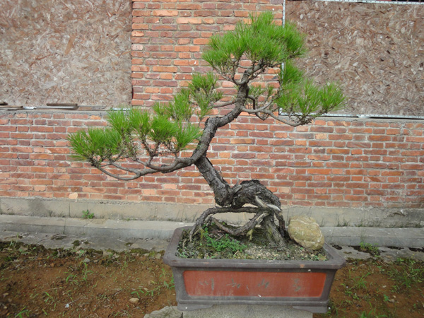 DSC02640.JPG