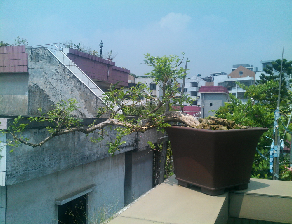 IMG_20130827_112156-1.jpg