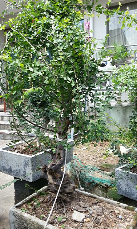 QQͼ20130828140736.jpg