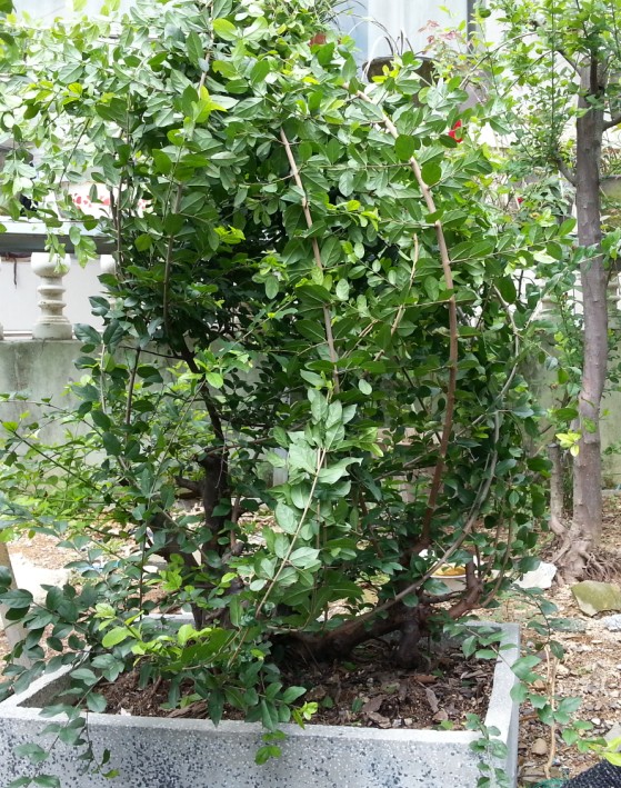 QQͼ20130828140742.jpg