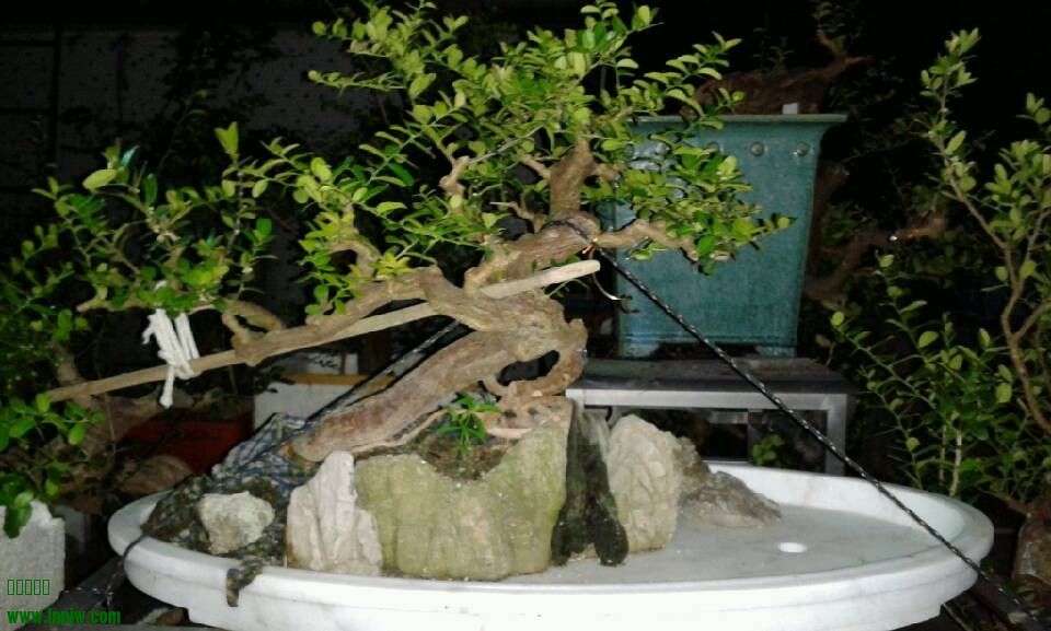 QQͼƬ20130830130815.jpg
