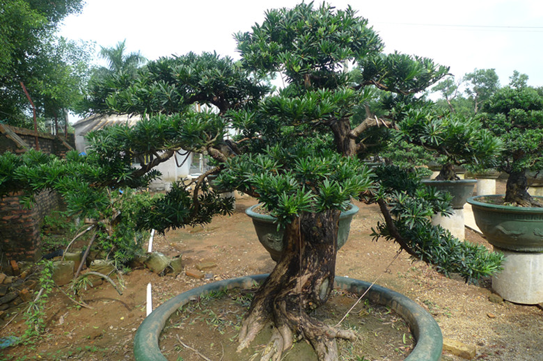 P1060700_.jpg