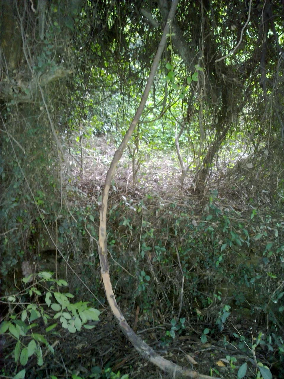 20130829949.jpg
