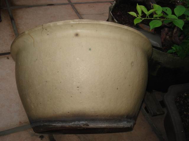 DSC01446.JPG