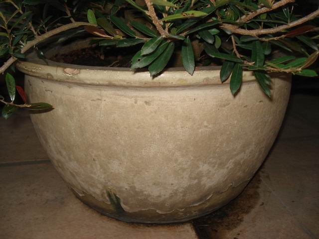 DSC01450.JPG