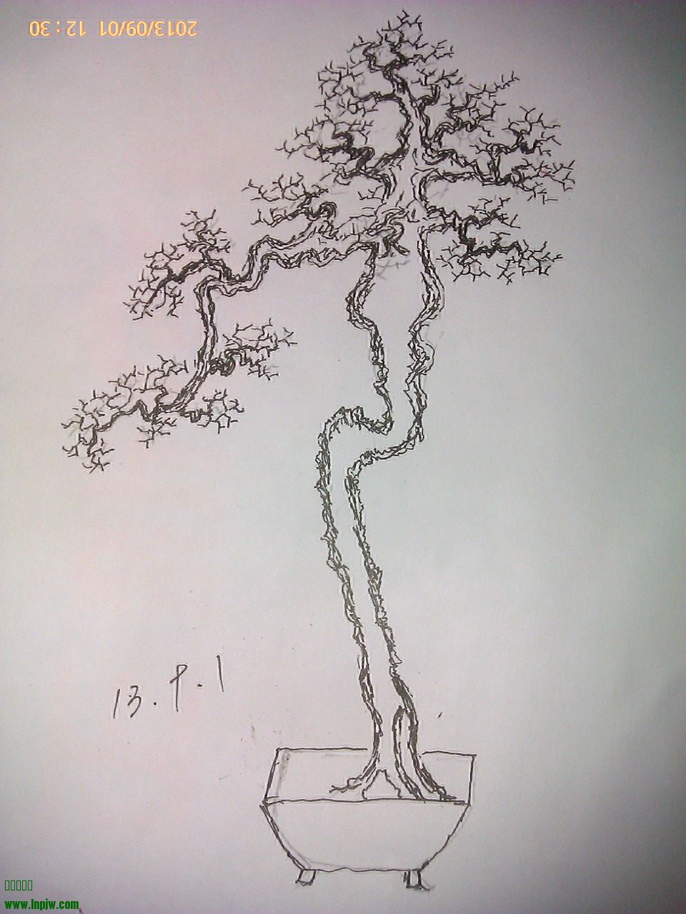 IMAG1353.jpg