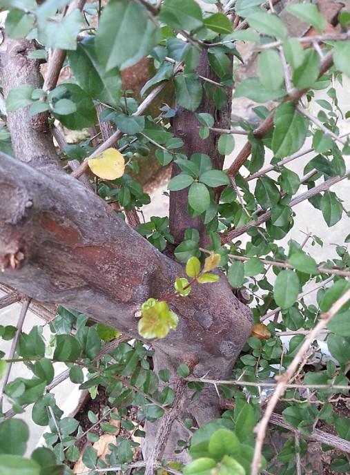 QQͼ20130902210809.jpg