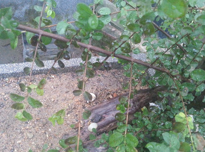 QQͼ20130902211539.jpg