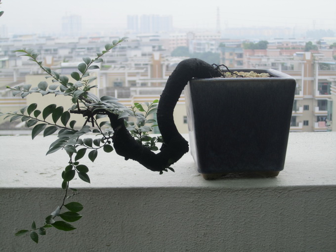 IMG_7499_С.JPG