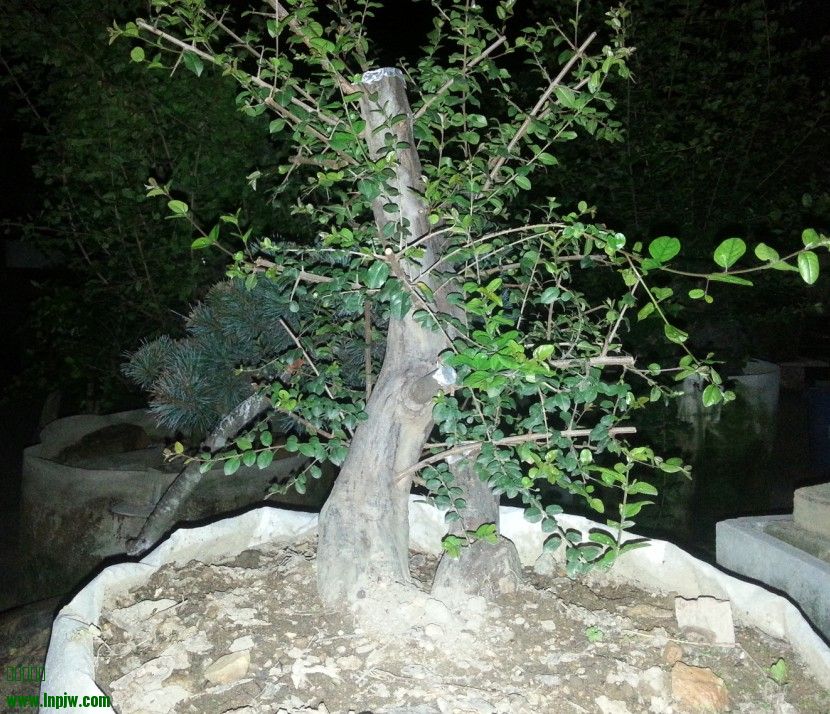 QQͼ20130906091407.jpg