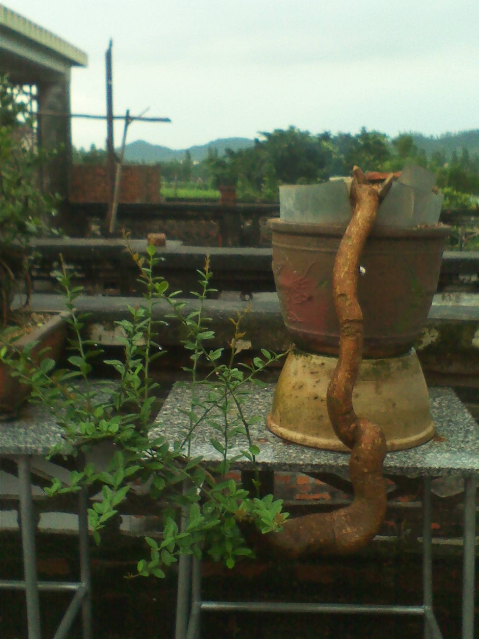 IMG_20130522_170856.jpg