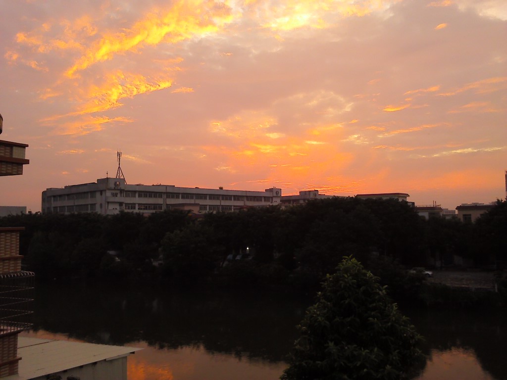 IMG_20130906_060832.jpg