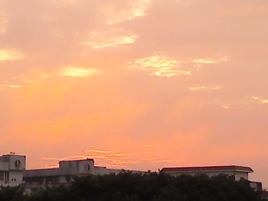 IMG_20130906_061147.jpg