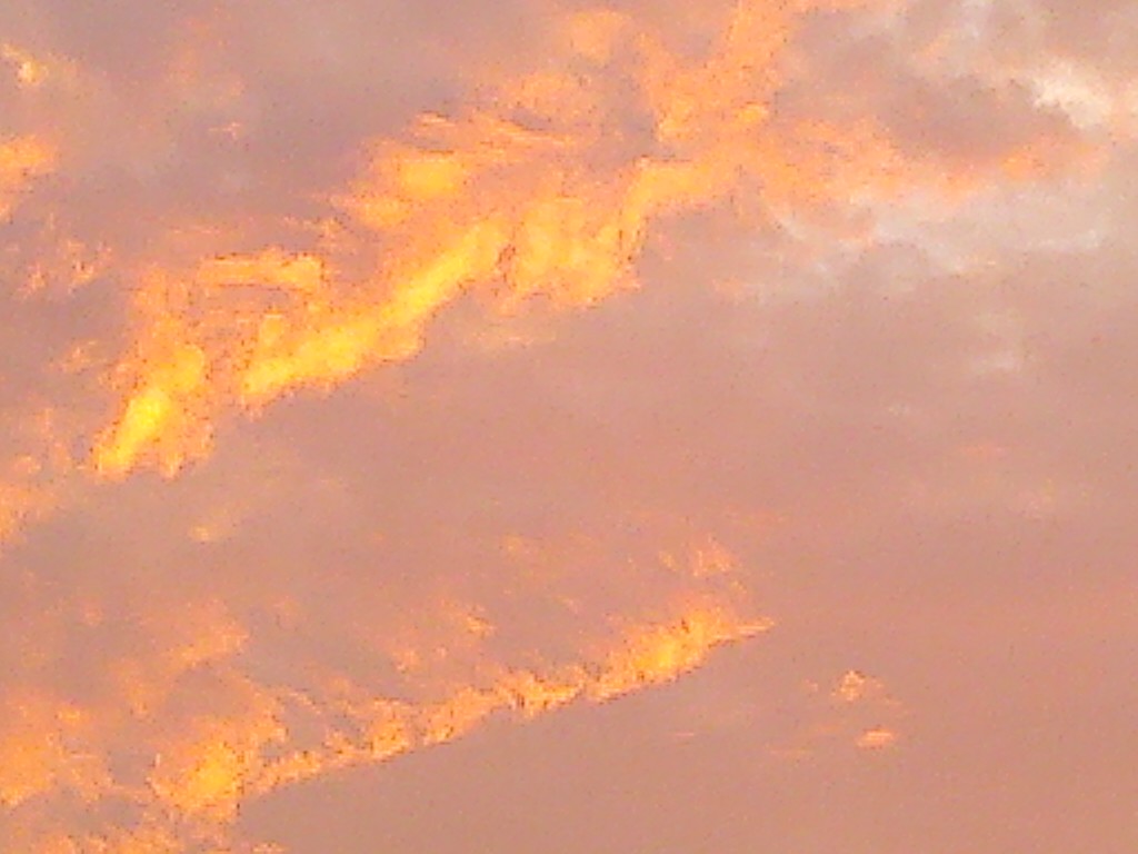 IMG_20130906_061014.jpg