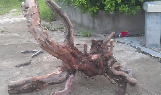 QQͼ20130907080803.jpg