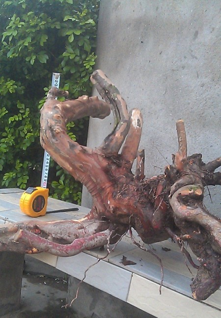 QQͼ20130907081122.jpg