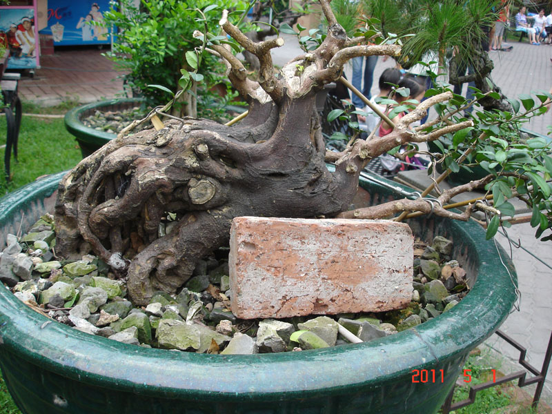 Ŵ1.jpg